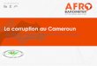 La corruption au Cameroun - Afrobarometerafrobarometer.org/sites/default/files/media-briefing/cameroon/cam... · • La corruption des dirigeants: ... • La taille de l’échantillon