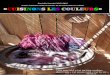 Une idée à projet 2015-2016 Projet artistique …eclat53.fr/wp-content/uploads/2015/06/cuisinons-les... · 2015-06-12 · Matisse . Dis-moi ce que tu peins ... COULEUR ET couleurs