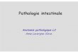 Anatomie pathologique L3 - Cours L3 Bichat 2012-2013coursl3bichat2012-2013.weebly.com/uploads/9/6/0/7/...intestinale.pdf · • segment d’intestin grêle • résection iléo-caecale,