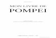 MON LIVRE DE POMPEI - signoret-col.spip.ac-rouen.frsignoret-col.spip.ac-rouen.fr/IMG/pdf/dossier_pompei_-_corrige.pdf · MON LIVRE DE POMPEI ... pli de leurs vêtements, le moindre