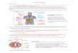 I.7 Immunologie. - LeWebPédagogiquelewebpedagogique.com/bouchaud/files/11coursTSI.7.pdf · Introduction. Le système ... Ces cellules se regroupent dans les organes lymphoïdes secondaires