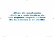 AAtlas de anatomía tlas de anatomía cclínica y …media.axon.es/pdf/88658.pdf · fonctionnelle et du service d’anatomie de l’université París-Descartes. Christian Vacher