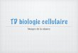 TD biologie cellulaire - ekladata.comekladata.com/NGU9Us29KFHMq8cDJFi7maiu0ps.pdf · TD biologie cellulaire Images de la séance. Utilisation des lames Kova pour comptage Lame Kova
