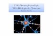 L2S3 Neurophysiologie TD1:Biologie du Neurone .TD1:Biologie du Neurone Yannick Gerber . Plan I. Le