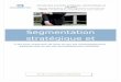 Segmentation stratégique etd1n7iqsz6ob2ad.cloudfront.net/document/pdf/53872e4ce92c5.pdf · 2014-05-29 · Master Marketing et Management Commercial Matière : Marketing industriel