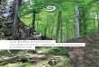Les forêts anciennes : un patrimoine naturel et … · Qu’appelle-t-on « forêt ancienne » ? p. 4 ... La comparaison de deux sources cartographiques, ... Mettre l’histoire