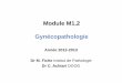 Module M1.2 Gynécopathologie TP Coupes G 2 3 4 5.pdf · Granulosa . Sertoli-Leydig . ... • Quelle est la fréquence de cette tumeur? ... Femme de 28 ans, nulligeste, masse solide