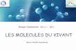 LES MOLECULES DU VIVANT - …ifsiambroisepare20112014.f.i.f.unblog.fr/files/2011/10/... · amylases salivaires et pancréatiques glucose absorbé par le tube digestif - Glycogène