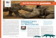 à la une Rhinocé Ros : stoppeR le massacRe - wwf.fr · pays consommateurs en prônant une tolérance zéro vis-à-vis des pratiques illicites, mais aussi en brisant les mythes associés
