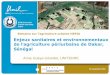 Enjeux sanitaires et environnementaux de l agriculture ...hepia.hesge.ch/fileadmin/instituts/inTNE/2012/Documents/Anne_Gueye... · (Ndiaye et Baldé 2009) ... 2010; Baldé et al,