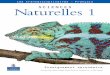 Les transdisciplinaires • Français Naturelles 1 Les ...pearsonespana.blob.core.windows.net/books/Sciences naturelles 1 (FR... · • Le règne des monères : ce sont les organismes