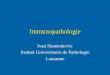 Immunopathologie - unil.ch · PDF fileLes acteurs • les cellules – lymphocytes – macrophages – cellules présentatrices d ’antigène • cellules dendritiques • cellules
