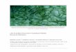 LES FLEURS D’EAU DE CYANOBACTÉRIES Revue de …espace.inrs.ca/534/1/R000916.pdf · cyanobactéries et les méthodes de détection des cyanobactéries et de leurs toxines. Une portion