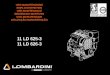 11 LD 625-3 11 LD 626-3 - LOMBARDINI Uso Manutenzione/UM... · Remplacement huile moteur. Engine oilreplacement