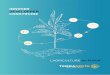 LE PÔLE D'INNOVATION - terrasolis.frterrasolis.fr/wp-content/uploads/2018/05/TERRASOLIS_Plaquette-210x... · le pÔle d'innovation ... lab lycÉes agricoles ... plateforme de services