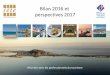 Bilan 2016 et perspectives 2017 - tourisme-sete.com · dans Femme actuelle – ¼ de pages dans l’Inontournale Magazine Lyon . Les insertions publicitaires-grand public > La presse