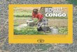 Ce qu’a apporté un projet de développement … · végétale et de la protection des plantes l’Organisation des Nations Unies pour l’alimentation et l’agriculture 500 400