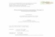 Dibenzoylperoxid als potentielles Allergen in ... · Referat und bibliographische Beschreibung Die Zahl von Patienten mit Überempfindlichkeitsreaktionen auf zahnärztliche Materialien