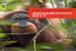 Was PanEco bewirkt Jahresbericht 2017 - … · Das Wichtigste zum Schluss: Unser SOCP-Team hat den Bau der Orang-Utan-Inseln angepackt, das ... Kampf zur Rettung des Regenwalds unterstützen