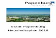 Stadt Papenburg Haushaltsplan 2016 · A2 01 Arbeit / Soziales 157 02 Schule / Familie 192 03 Jugend 264 04 Sport 316 A3 01 Wirtschaftsförderung ... Papenburg 2014 gemeinnützige