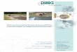 Planerische Ansätze Wasserrahmenrichtlinie, …dillig.de/uploads/media/EU_Wasserrahmenrichtlinie_RW-Einleitungen.pdf · der Gewässerqualität nach EU-WRRL, wurde bisher nicht berücksichtigt