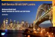 Self Service BI mit SAP Lumira · Geplant: Kompletter Prozess, ... “SAP Lumira can crunch big data and support the ... or legal obligation to deliver any material, code, or functionality