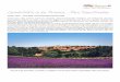 21.07.2018 | mit Gartenexperte Roman Malliolivareisen.at/wp-content/.../GR18-Frankreich_Lavendelblüte_Roman.pdf · ist ein kleines Hotel in Fontvieille. Von hier aus führen uns
