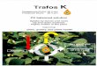 Trafos K Phosphorus (P205): 42 % p/v Potassium … · Trafos K Phosphorus (P205): 42 % p/v Potassium (K20): 28 % p/v PK balanced solution Uptake by leaves and roots Up and down systemic