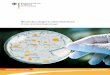 Biotechnologie in Deutschland - BMBF · InHalT 1 Inhalt 25 Jahre Unternehmensgründungen in der Biotechnologie – Erfolgsgeschichten durch weitsichtige Förderprogramme 4 Überblick