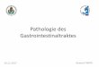 Pathologie des Gastrointestinaltraktes - semmelweis.husemmelweis.hu/patologia1/files/2017/12/Path-EA-2017-1120-GIT-GER.pdf · –Stenosen (Narben) ... Stenose, Atresien DÜNNDARM