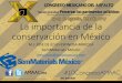 La importancia de la conservación en México - …€¦ · Microaglomerado 8,064 0.3 6.4 281 *Por cada km de sección de 7m de ancho (2 carriles). ... •Toma de decisiones con base