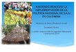Presentación de PowerPoint - Iniciativa América Latina … · Planes de Ordenamiento Territorial Planes de Inversión Planes de acción sectoriales Ministerio de la Protección