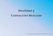 Movilidad y Contracción Muscularsgpwe.izt.uam.mx/files/users/uami/lebo/EFC_II__2018/Presentaciones... · en membrana de RE ADP Bomba de calcio en membrana plasmática Proteína G
