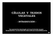 CÉLULAS Y TEJIDOS VEGETALES - …botanicarum.weebly.com/.../026_celulas_y_tejidos_vegetales_intro.pdf · CÉLULAS Y TEJIDOS VEGETALES - INTRODUCCIÓN - Esta presentación está protegida