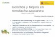 Genética y Mejora en remolacha azucarera - aimcra.comaimcra.com/Publicaciones/Documentos/Otras/Mejora... · Genética y Mejora en remolacha azucarera Madrid, 14 abril 2015 Rodrigo