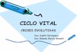 CICLO VITAL en portugues - fundacionmf.org.ar · Ciclo vital • Para poder atender ao paciente de uma maneira integral, vê-lo como uma pessoa, faz-se necessário conhecer profundamente