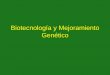 Biotecnología y Mejoramiento Genético - UNCagro.unc.edu.ar/~mejogeve/Biotech2004.pdf · Relaciones genéticas dentro de la tribu Triticeae de acuerdo a la producción exitosa de