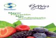 Mayor Floración Más Rendimiento - stollermexico.com · Regulador de crecimiento No sintético Citoquinina (Quinetina) 0.04% ... frutos son consecuencia de un desbalance hormonal,