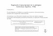Regulación transcripcional de la glicógeno fosforilasa ...mural.uv.es/rata3/Trabajos/Regulación transcripcional de la... · dependiente de zinc,, vuelve a cortar a SREBP en la
