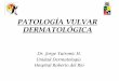 PATOLOGÍA VULVAR DERMATOLÓGICA - Sogiasogia.cl/wp-content/uploads/2015/04/M11_Patologia_vulvar_Dr... · Causas de edema vulvar . - Infecciosas Vulvovaginitis candidiásica Eczema