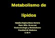 Metabolismo de lípidosmedicina.udea.edu.co/emd/metabolismo/lipidos/LIP-1-2010-2.pdf · Contenido 1. Utilización y transporte de las grasas y el colesterol 2. Oxidación de los ácidos