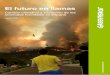 Cambio climático y evolución de los incendios …archivo-es.greenpeace.org/espana/Global/espana/report/bosques/... · es un cambio en el estado del clima identificable ... e italia;