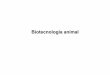 Biotecnología animal - bmbq.uma.es animal.pdf · ¿Cual es el objetivo de realizar Biotecnología animal? A. Se pueden generar animales modificados (“animales transgénicos”)