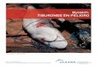 Bycatch: TIBURONES EN PELIGRO - oceana.orgoceana.org/sites/default/files/reports/Tiburones.pdf · agrupa a tiburones, rayas y quimeras. ... un abierto incentivo a aumentar las capturas,