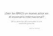 ¿Son los BRICS un nuevo actor en el escenario …cei.colmex.mx/Proyecto Bizberg América Latina/Mesa 6 Maihold.pdf · ¿Son los BRICS un nuevo actor en el escenario internacional?