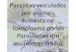 Parasitoses em imunodeprimidos - lineu.icb.usp.brlineu.icb.usp.br/~farmacia/ppt/antigos/Toxoplasmose_N2011.pdf · Filo Apicomplexa Classe Sporozoa Ordem Eucoccidiida Famílias Sarcocystidae
