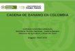 CADENA DE BANANO EN COLOMBIA - … · CADENA DE BANANO EN COLOMBIA ADRIANA SANCHEZ GRISALES Secretaria Técnica Nacional – Cadena Banano Ministerio de Agricultura y Desarrollo Rural