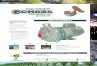 e-mail: ventas@bonasa.com  · trifugas Bonasa de Impulsor Bronce a Las bombas se diseñan y fabrican con la más ... Modelo 20/60 en Monofasico y Trifasico LINEA ELECTROBOMBA IB e-mail: