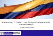 Colombia y Ecuador: Una Búsqueda Conjunta De …colombia-ecuador.com/sites/default/files/colombia_y_ecuador_una... · MACHALA SANTO DOMINGO AMBATO Distribución Demográfica (No