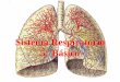 Sistema Respiratorio 5° Básico · El sistema respiratorio esta formado por: Vías respiratorias: fosas nasales, faringe, laringe, tráquea, árbol bronquial; que conducen, calientan,